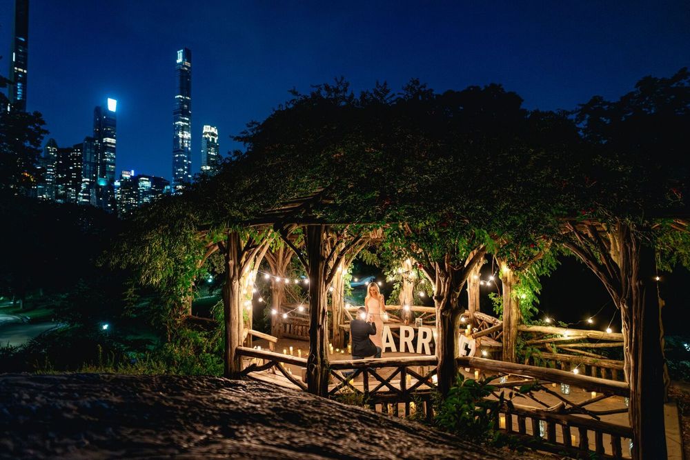 Central Park Proposal Packages